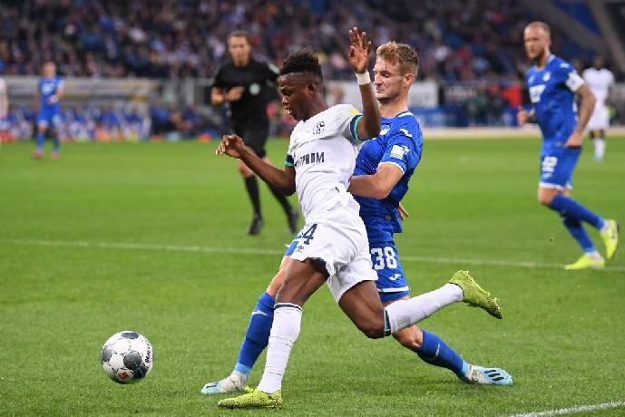 Nhận định kèo Schalke vs Hoffenheim, 1h30 ngày 15/10 dự đoán Bundesliga