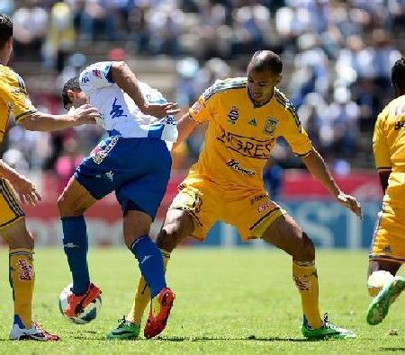 Soi kèo phạt góc Tigres UANL vs Pachuca, 9h06 ngày 14/10