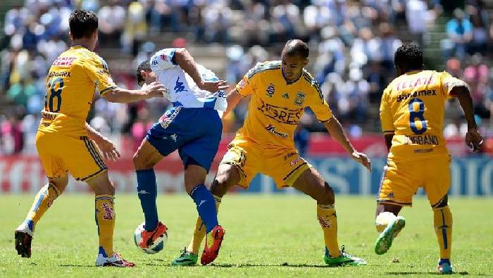 Soi kèo phạt góc Tigres UANL vs Pachuca, 9h06 ngày 14/10