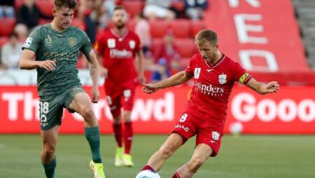 Soi kèo phạt góc Wellington Phoenix vs Adelaide, 9h ngày 9/10