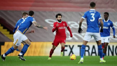 Soi kèo siêu dị Liverpool vs Brighton, 21h ngày 1/10