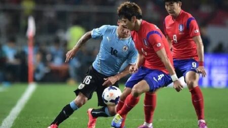 Biến động tỷ lệ kèo Uruguay vs Hàn Quốc, 20h ngày 24/11