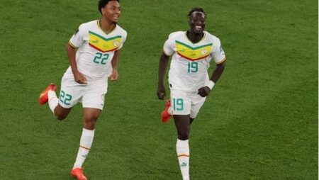 Đội hình ra sân chính thức Ecuador vs Senegal, 22h ngày 29/11 (cập nhật)