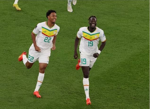 Đội hình ra sân chính thức Ecuador vs Senegal, 22h ngày 29/11 (cập nhật)