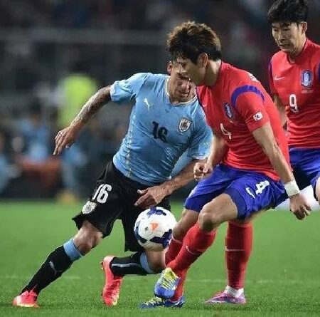 Henry Burt dự đoán Uruguay vs Hàn Quốc, 20h ngày 24/11