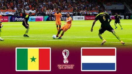 Nhận định kèo Senegal vs Hà Lan, 23h ngày 21/11