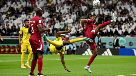 Soi bảng dự đoán tỷ số chính xác Ecuador vs Senegal, 22h ngày 29/11