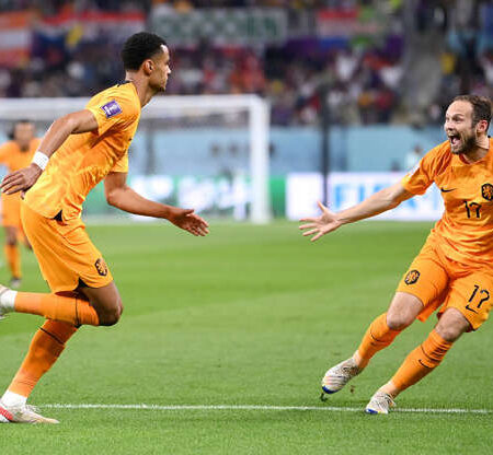 Nhận định kèo Hà Lan vs Qatar, 22h00 ngày 29/11 dự đoán World Cup 2022