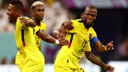 Soi kèo đặc biệt Ecuador vs Senegal, 22h ngày 29/11