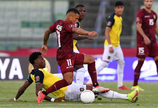 Soi kèo đặc biệt Qatar vs Ecuador, 23h ngày 20/11