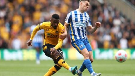 Soi kèo phạt góc Wolves vs Brighton, 22h ngày 5/11