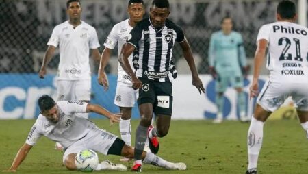 Soi kèo tài xỉu Botafogo vs Santos hôm nay 6h00 ngày 11/11
