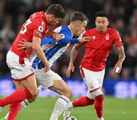 Tiên tri đại bàng dự đoán Nottingham Forest vs Crystal Palace, 22h ngày 12/11