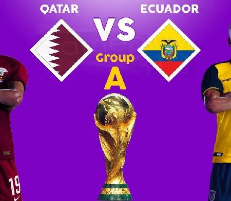 Tiên tri đại bàng dự đoán Qatar vs Ecuador, 23h ngày 20/11