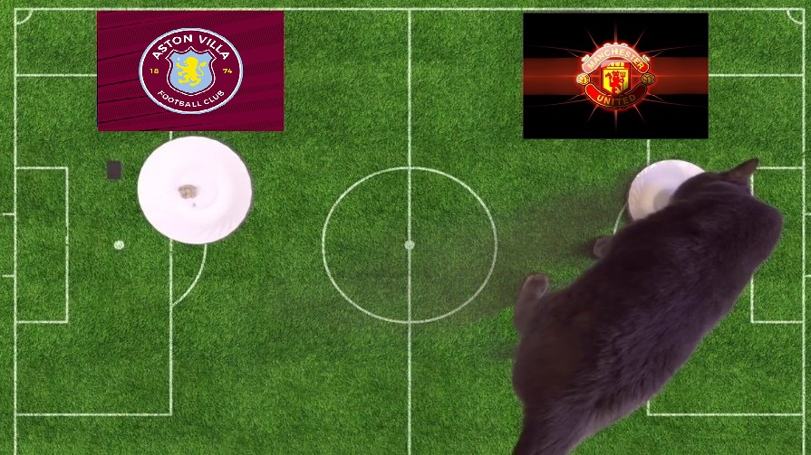 Tiên tri mèo Cass dự đoán Aston Villa vs MU, 21h ngày 6/11 - Ảnh 2