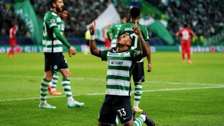 Nhận định kèo Rio Ave vs Sporting Lisbon, 3h30 ngày 8/12