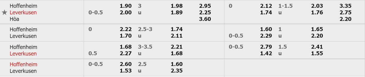 ty-le-keo-hoffenheim-vs-leverkusen